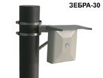 ЗЕБРА-30(24) Веер